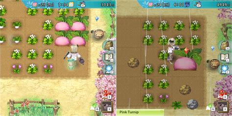 crops that are beneficial to grow rune factory 4